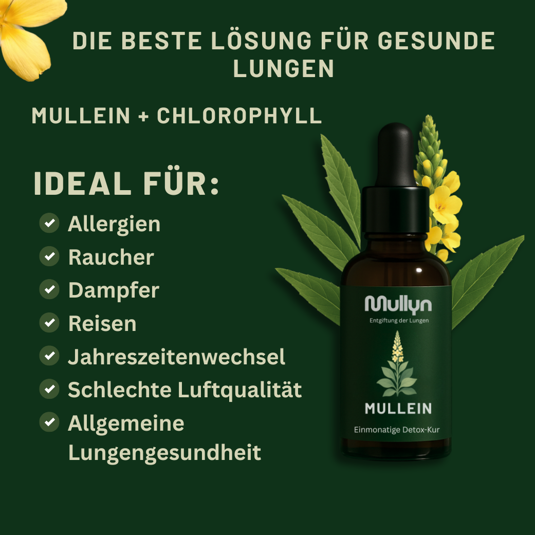 Mullyn® Königskerze + Chlorophyll LUNGEN-ENTGIFTUNG