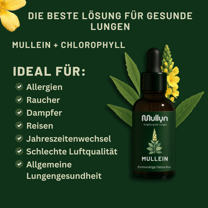 Mullyn® Königskerze + Chlorophyll LUNGEN-ENTGIFTUNG