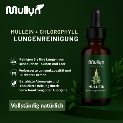 Mullyn® Königskerze + Chlorophyll LUNGEN-ENTGIFTUNG